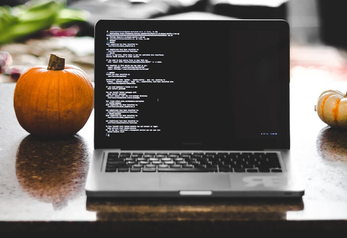 pumpkins and laptop