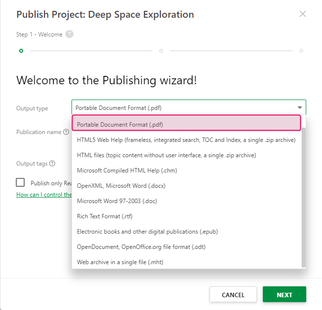 Choose the PDF output type in the dropdown list in the Publishing wizard