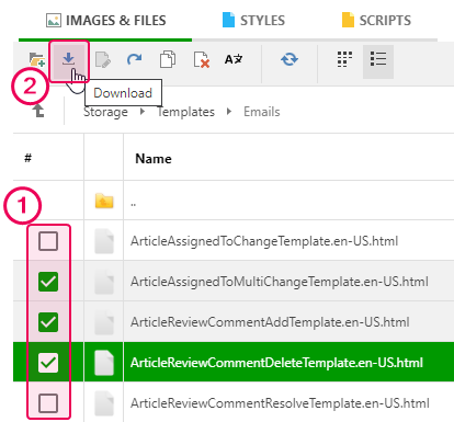 Download the template file to your File Storage