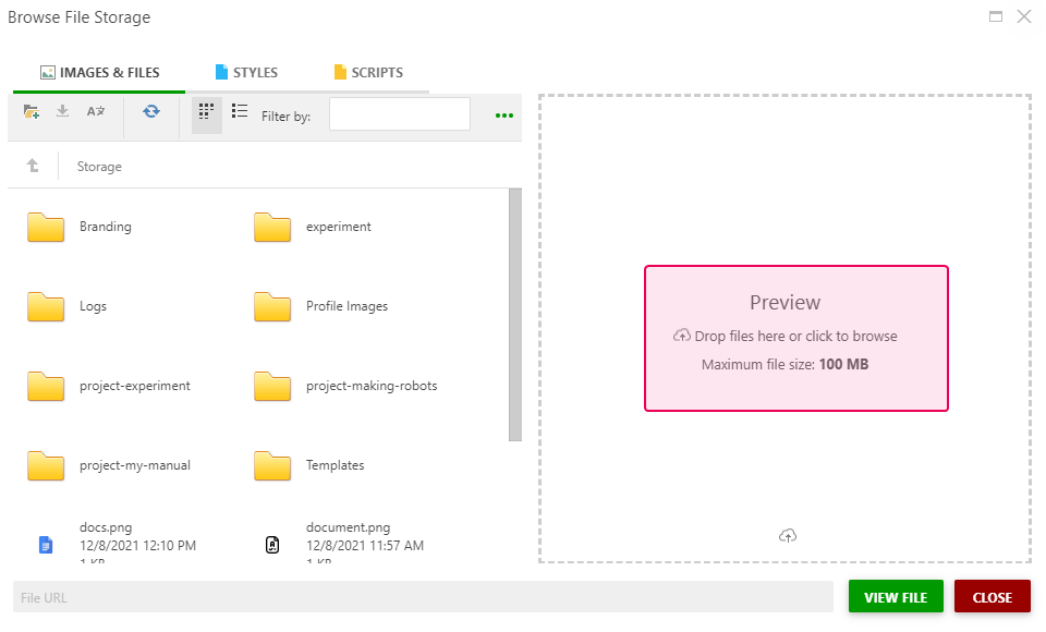 Preview area of the Images&Files tab of the File Manager