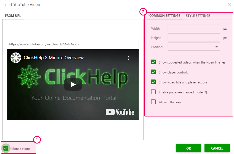 Click the More options checkbox in the Insert YouTube Video dialog to configure specific options