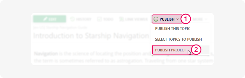 The Publish project button