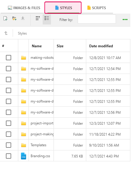 The styles tab of the File Manager