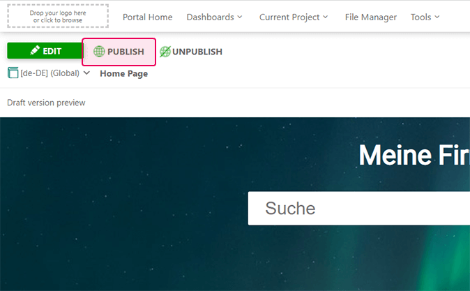 The Publish button on the Home Page Translation Editor screen