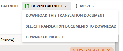 Download XLIFF button in the Translation Editor