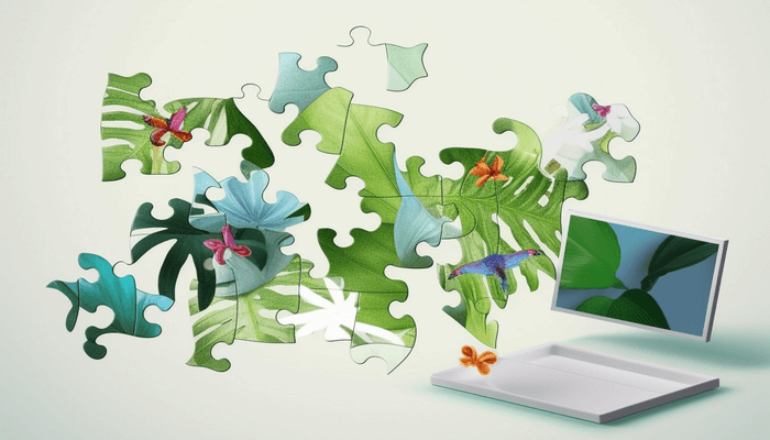 Creating a Taxonomy from the Ground Up with Findability in Focus