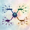 The Best Mind Mapping Software for 2026
